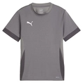 Puma TeamGOAL Matchday Jersey