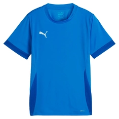 Puma TeamGOAL Matchday Jersey
