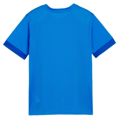 Puma TeamGOAL Matchday Jersey