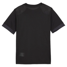 Puma TeamGOAL Matchday Jersey