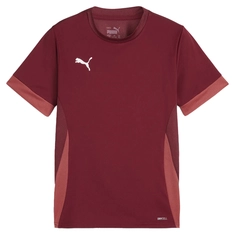 Puma TeamGOAL Matchday Jersey