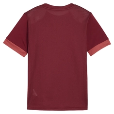 Puma TeamGOAL Matchday Jersey