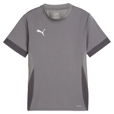 Puma TeamGOAL Matchday Jersey