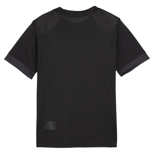 Puma TeamGOAL Matchday Jersey