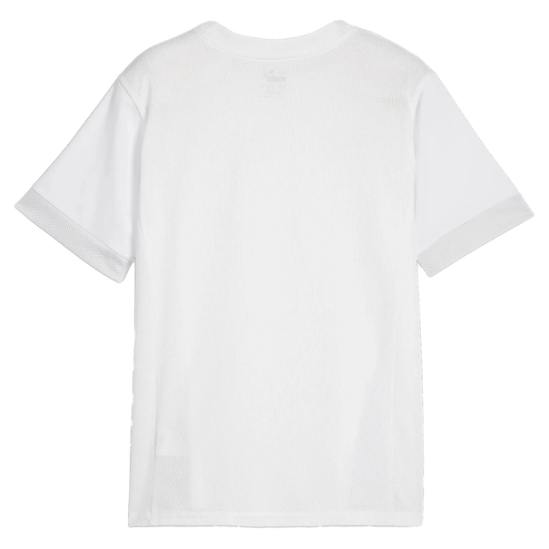 Puma TeamGOAL Matchday Jersey
