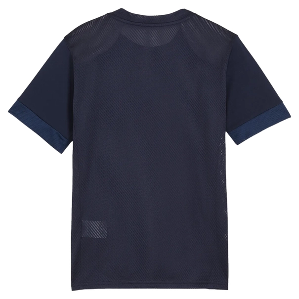 Puma TeamGOAL Matchday Jersey