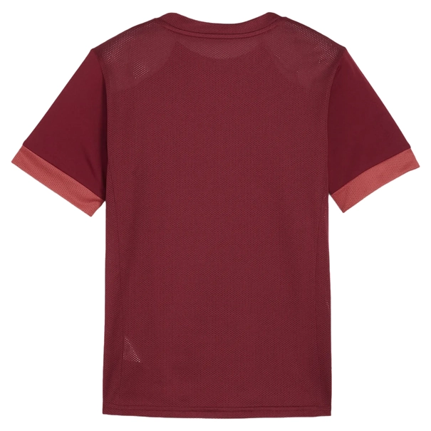 Puma TeamGOAL Matchday Jersey