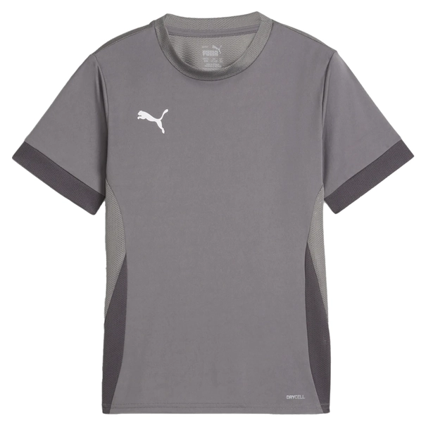 Puma TeamGOAL Matchday Jersey