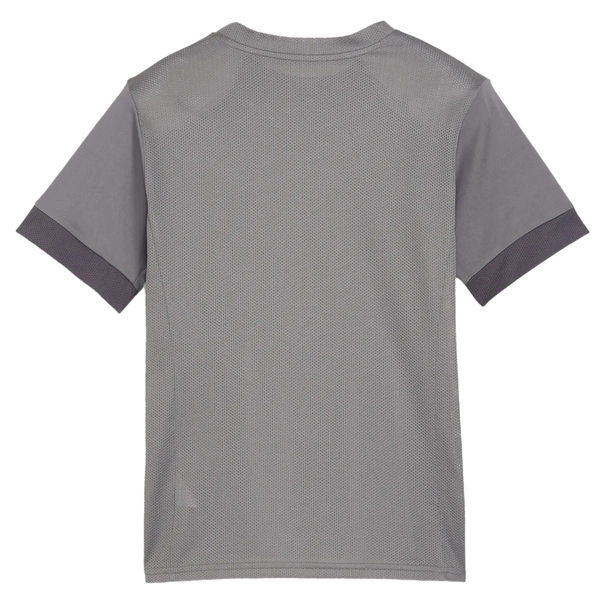 Puma TeamGOAL Matchday Jersey