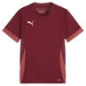 Puma TeamGOAL Matchday Jersey