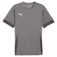Puma TeamGOAL Matchday T-Shirt