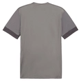 Puma TeamGOAL Matchday T-Shirt