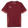 Puma Teamgoal Matchday T-shirt