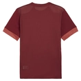 Puma Teamgoal Matchday T-shirt