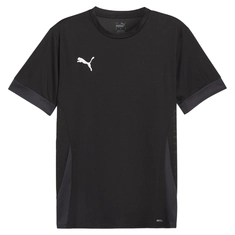 Puma TeamGOAL Matchday T-Shirt