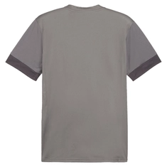 Puma TeamGOAL Matchday T-Shirt