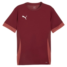 Puma Teamgoal Matchday T-shirt