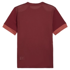 Puma Teamgoal Matchday T-shirt