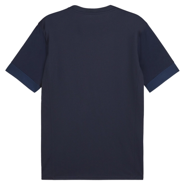 Puma TeamGOAL Matchday T-Shirt
