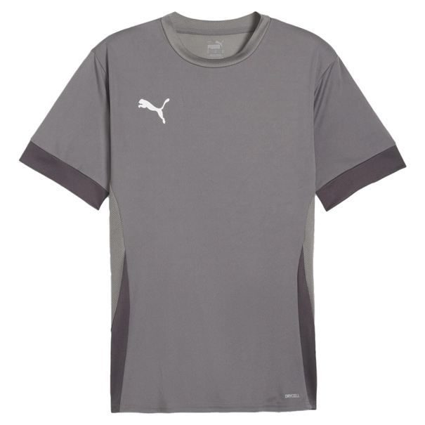 Puma TeamGOAL Matchday T-Shirt