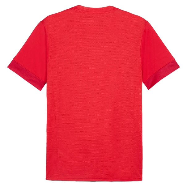 Puma TeamGoal Matchday T-Shirt