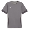 Puma TeamGOAL Matchday T-Shirt