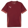 Puma Teamgoal Matchday T-shirt