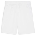 Puma TeamGOAL Short