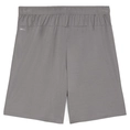 Puma TeamGOAL Short