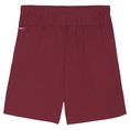 Puma Teamgoal Short