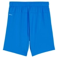 Puma TeamGOAL Short