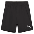 Puma TeamGOAL Short