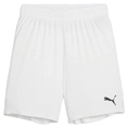 Puma TeamGOAL Short