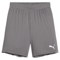 Puma TeamGOAL Short