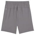 Puma TeamGOAL Short