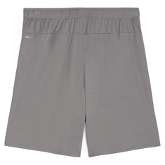 Puma TeamGOAL Short