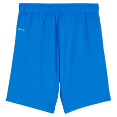 Puma TeamGOAL Short