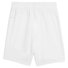 Puma TeamGOAL Short