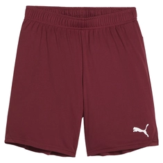 Puma TeamGOAL Short