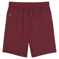 Puma TeamGOAL Short