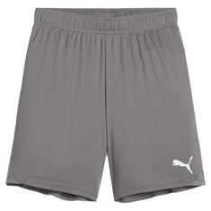 Puma TeamGOAL Short