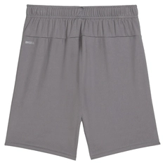 Puma TeamGOAL Short