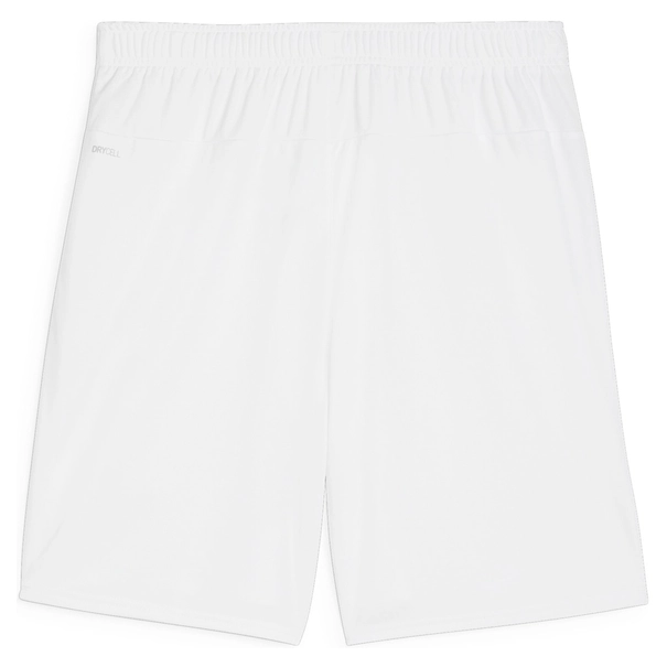Puma TeamGOAL Short