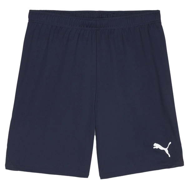 Puma TeamGOAL Short
