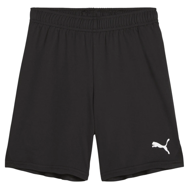 Puma TeamGOAL Short
