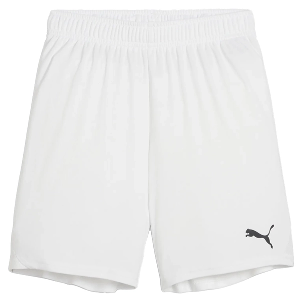 Puma TeamGOAL Short