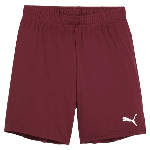 Puma TeamGOAL Short