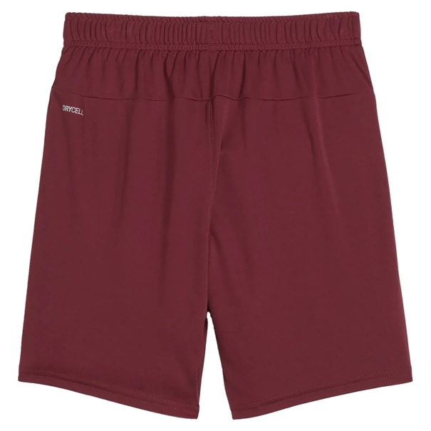 Puma TeamGOAL Short