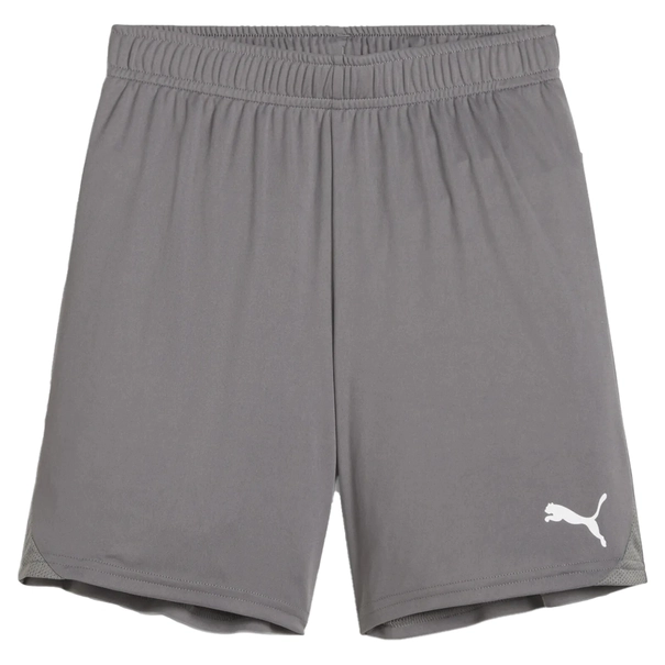Puma TeamGOAL Short