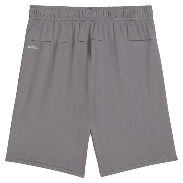 Puma TeamGOAL Short